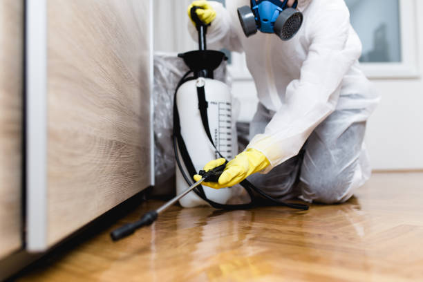 Best Pest Control Near Me  in Ocean City, MD