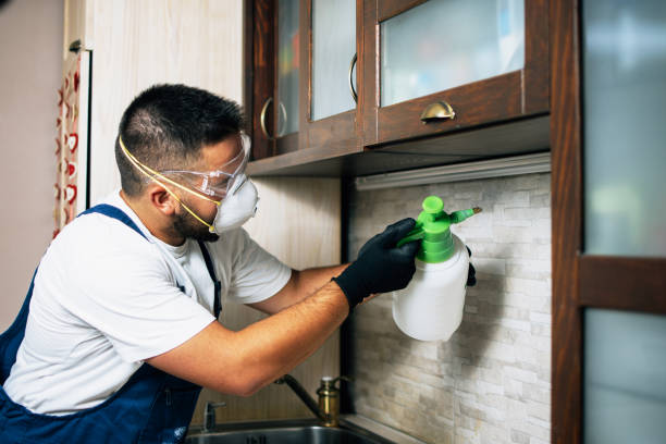 Best Pest Inspection Near Me  in Ocean City, MD