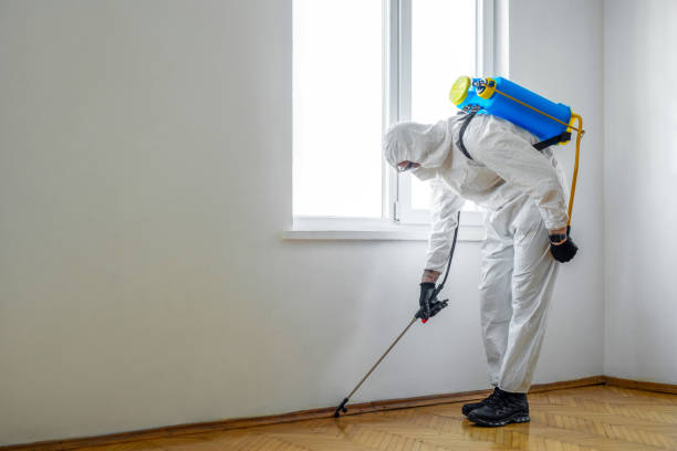 Reliable Ocean City, MD Pest Control Solutions