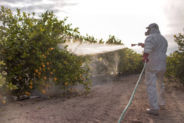 Best Wasp Removal Services  in Ocean City, MD