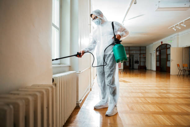 Best Flea Control Services  in Ocean City, MD