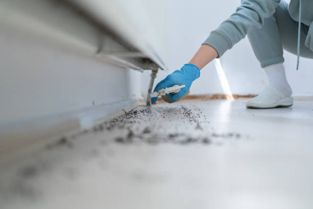 Best Best Pest Control Companies  in Ocean City, MD