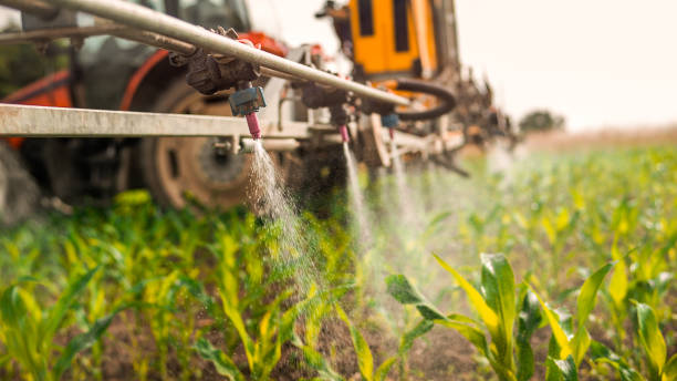 Best Mosquito Control Services  in Ocean City, MD