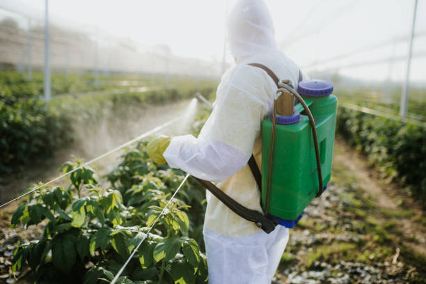 Best Pest Control for Homes  in Ocean City, MD